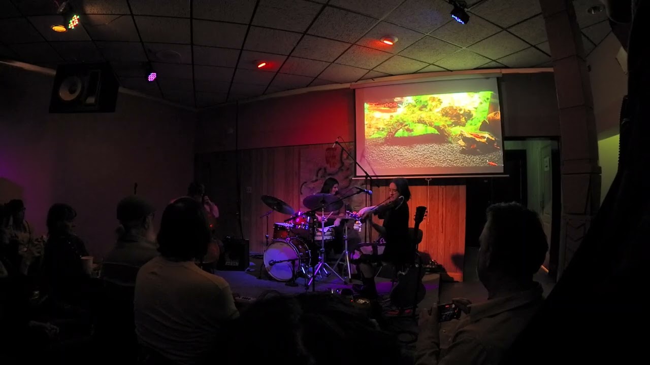 Lily Finnegan/Katinka Kleijn/Macie Stewart trio @ Color Club