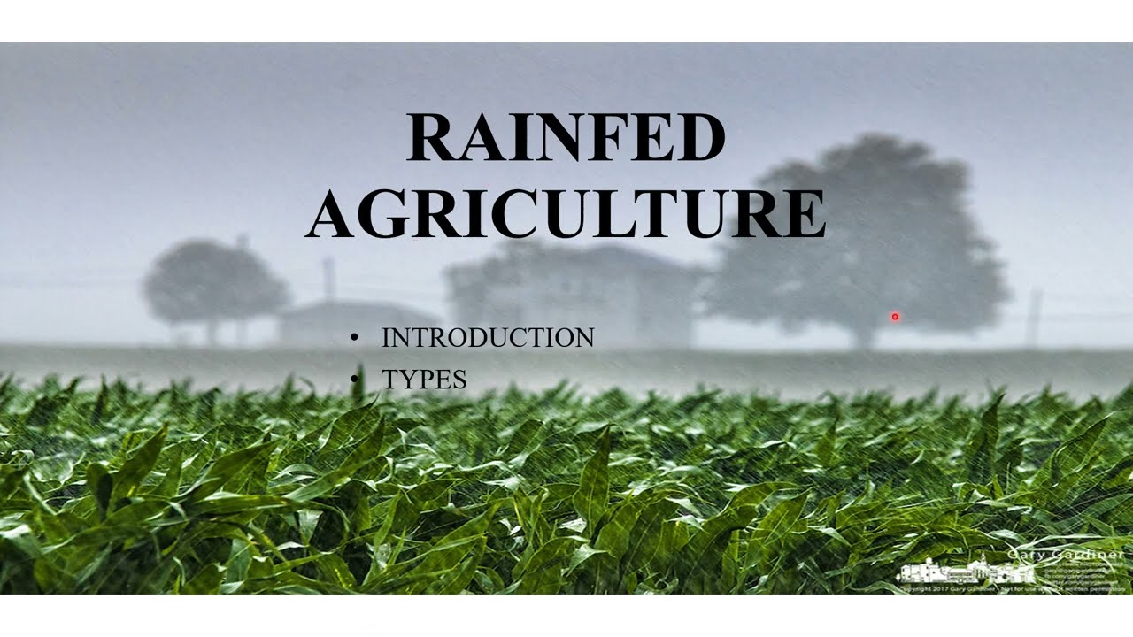 RAINFED AGRICULTURE