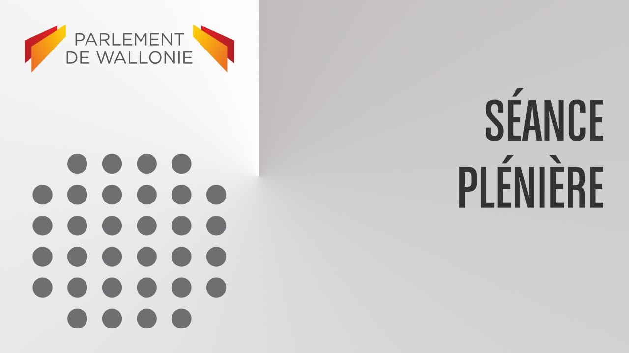 Séance plénière du 11/03/2026 à 14:00