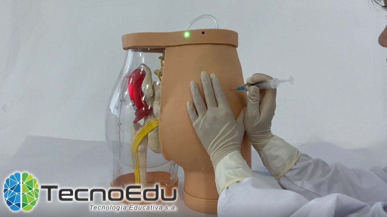 Entrenador para aplicar inyecciones intramusculares en glúteos DM-NS6022 CIE