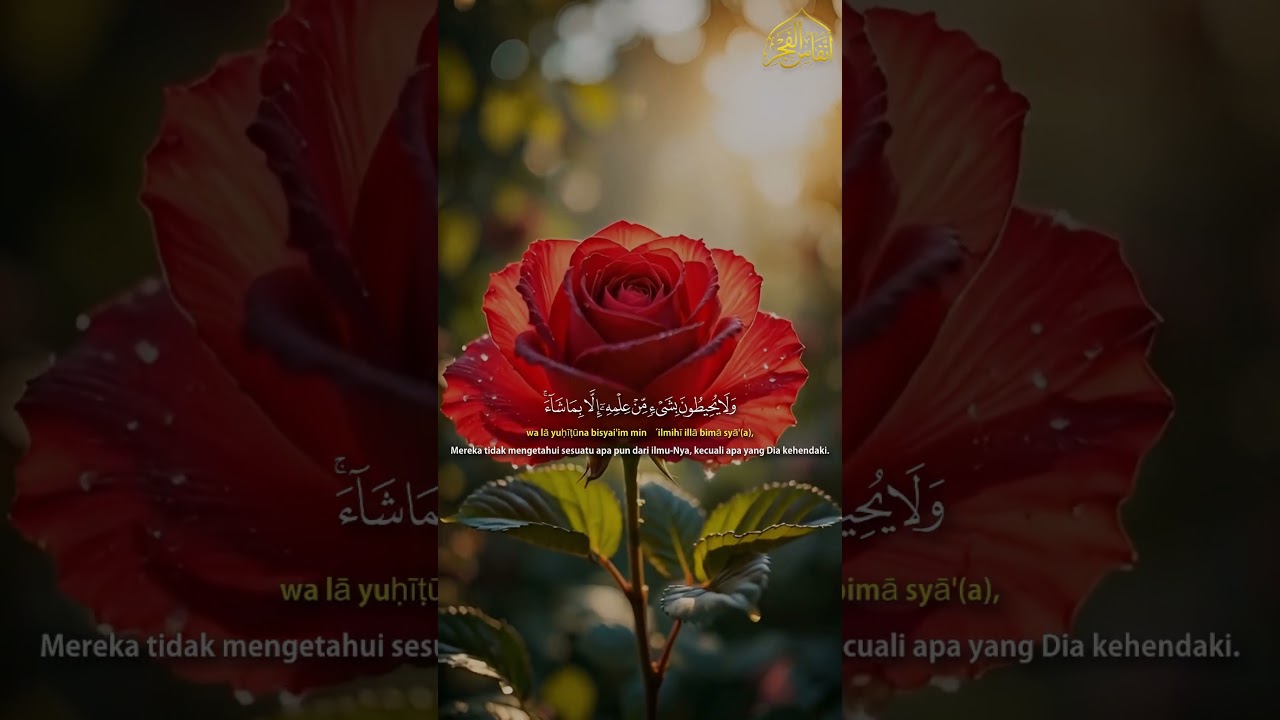 أذكار الصباح - راحة نفسية لا توصف بصوت القارئ علاء عقل | Morning Athkar - Dzkir Pagi by Alaa Aql