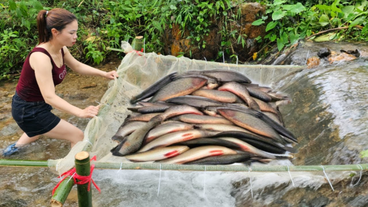 Full video 35 days Ana made many fish traps to catch fish. And caught a lot of fish to sell.