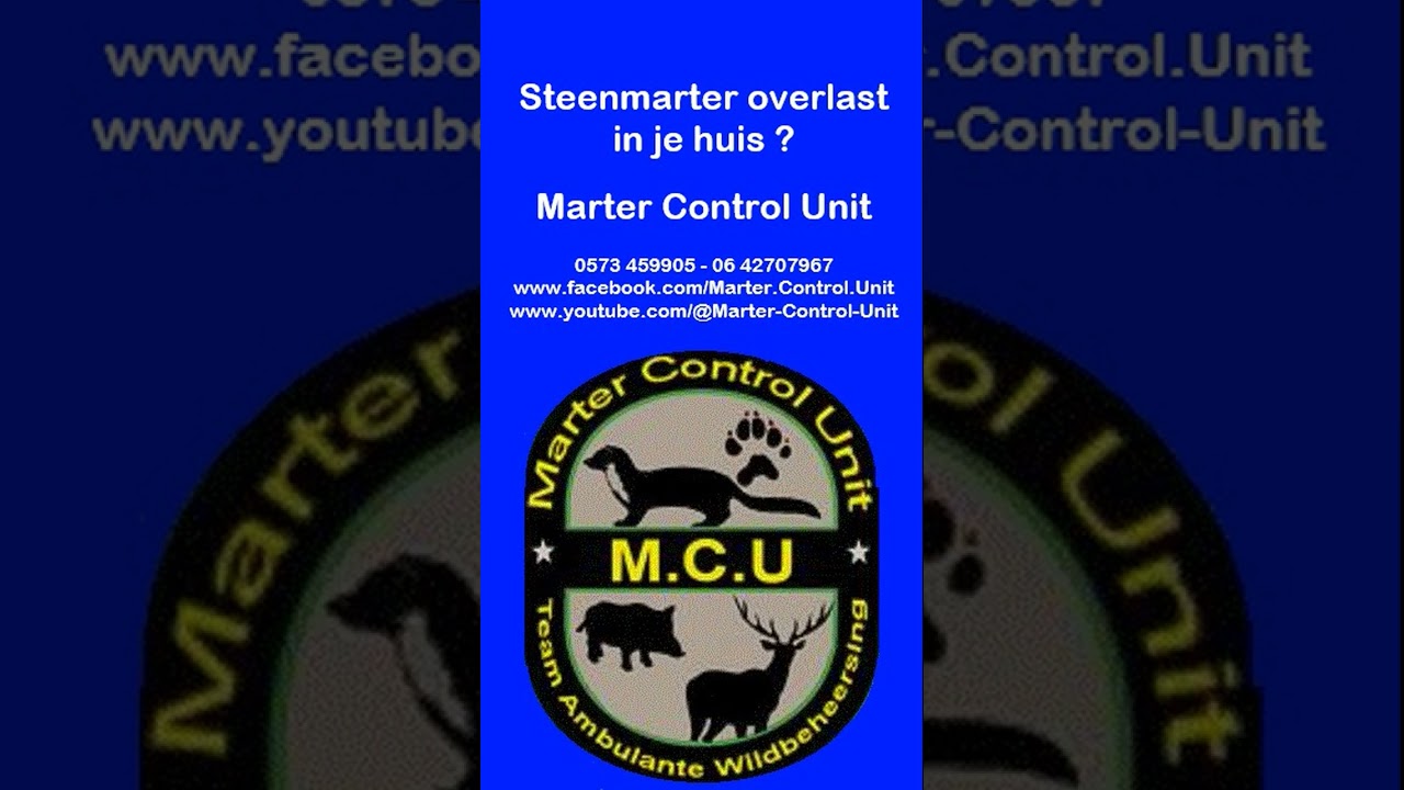 83 Overlast van een steenmarter in huis ? Bel ons !  Marter Control Unit - 0573 459905 - 06 42707967