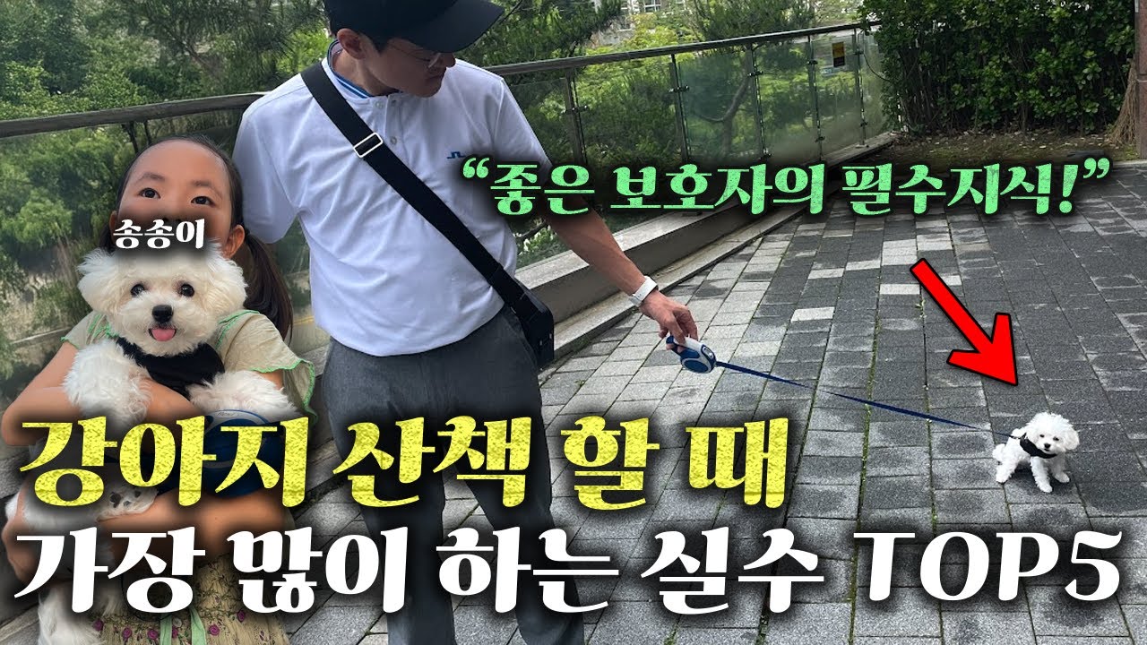 16년차 수의사가 알려주는 가장 올바른 산책 방법 l 수의사 이태호