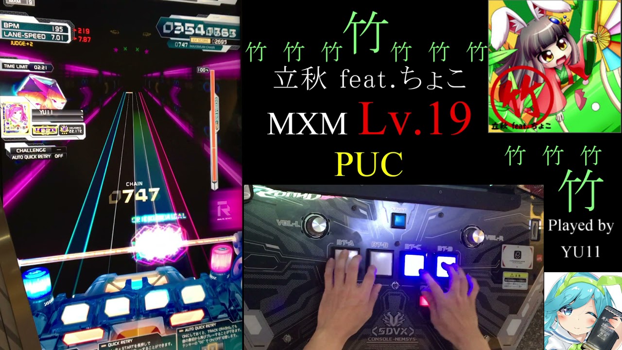 【竹】 竹 (MXM) MIRROR PUC 手元付き 【SDVX VI】