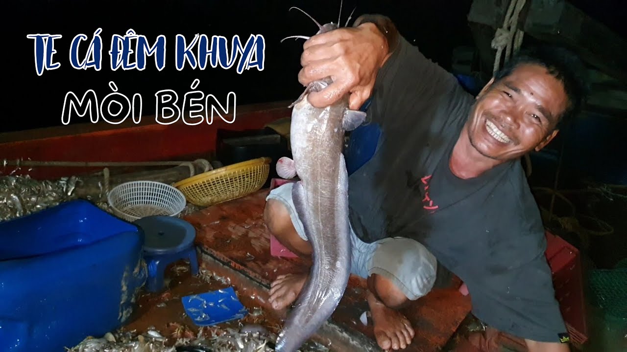 Ra khơi đánh cá và nồi Hải Sản Luộc lót dạ giữa đêm khuya | Ngư Dân Miền Tây #148