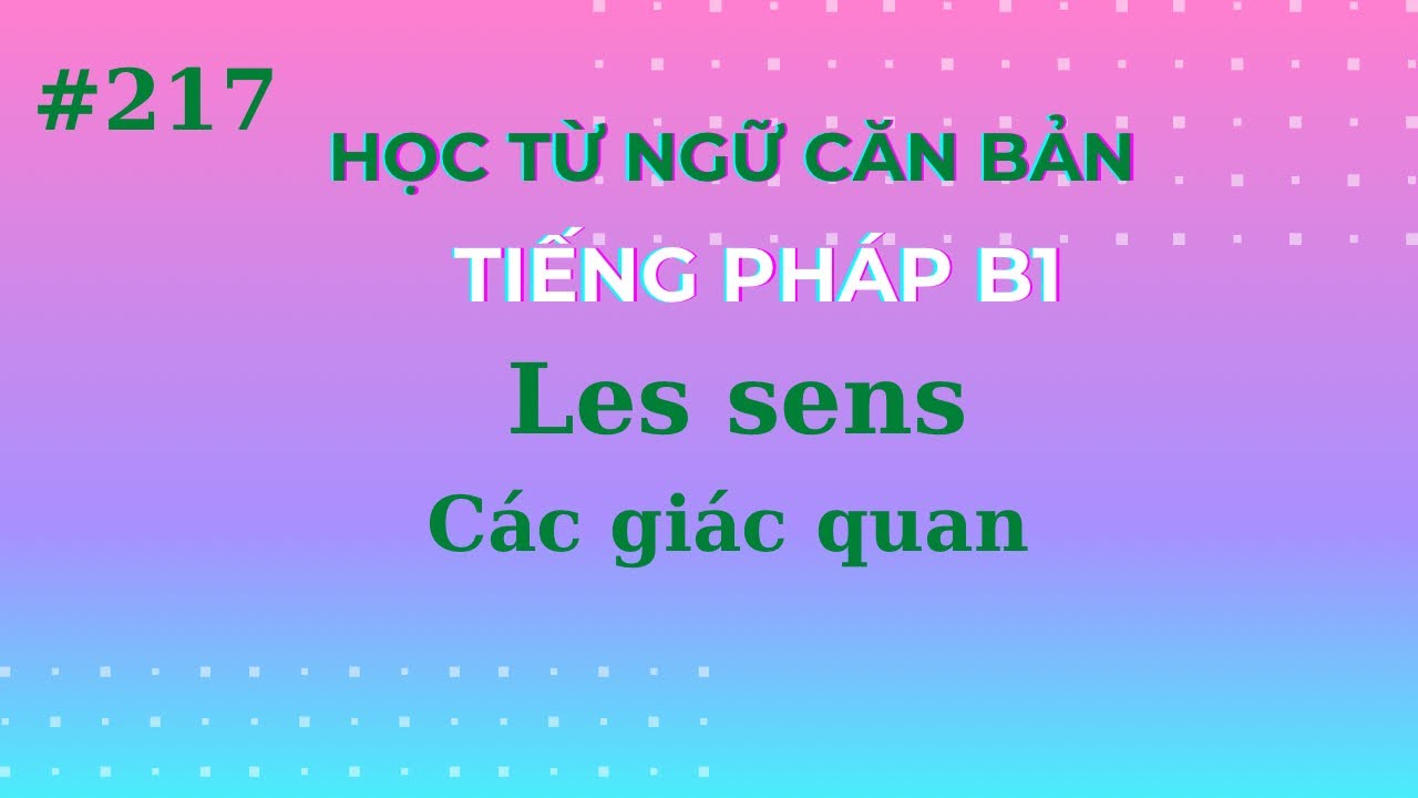 bài 217 - Từ ngữ căn bản tiếng Pháp Trình độ B1 - Các giác quan - Les sens