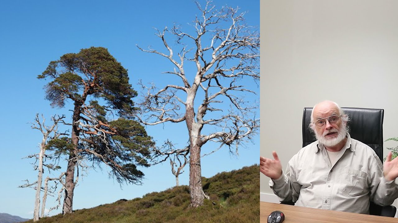 Restoring the Caledonian Forest in Scotland. Alan Watson Featherstone. SERA Conference 2016