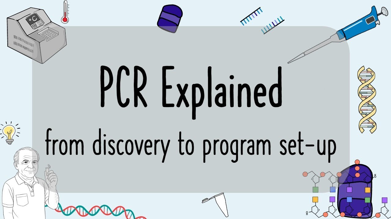 PCR (Polymerase Chain Reaction) Explained