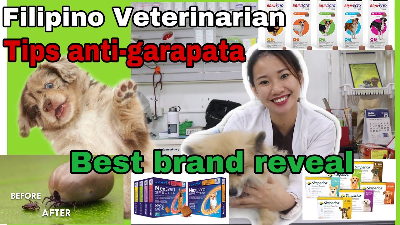 GAMOT PAMATAY GARAPATA || TICKS and FLEAS PREVENTION FOR DOGS || DR. MJ