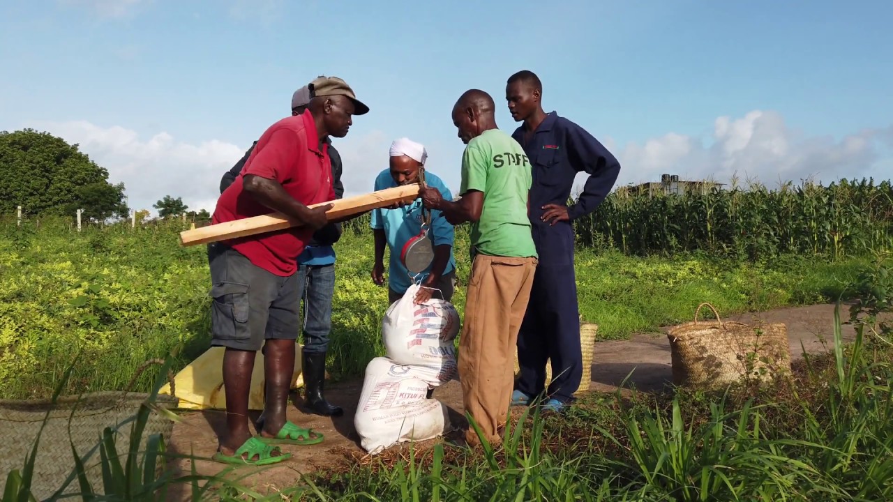 Farmers Court & Tamani Junior School Mpeketoni Kenya 2019 3