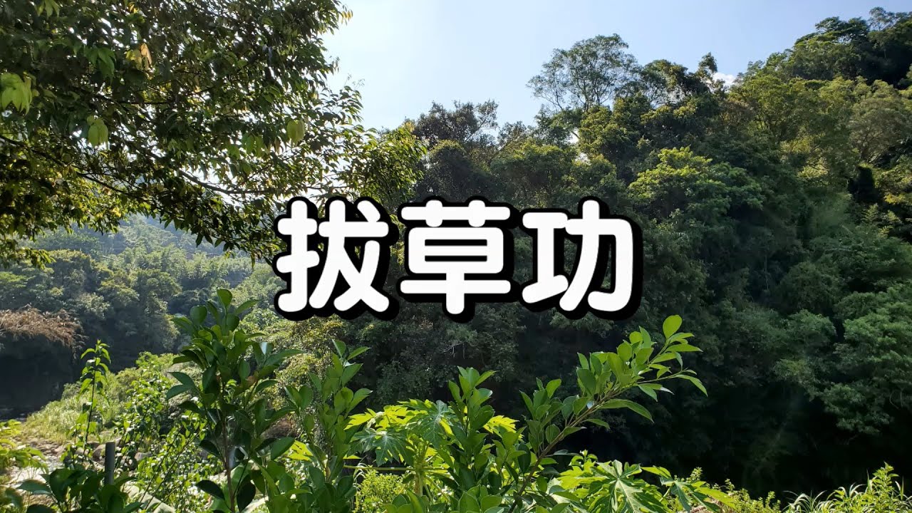 龍安聖殿 拔草功