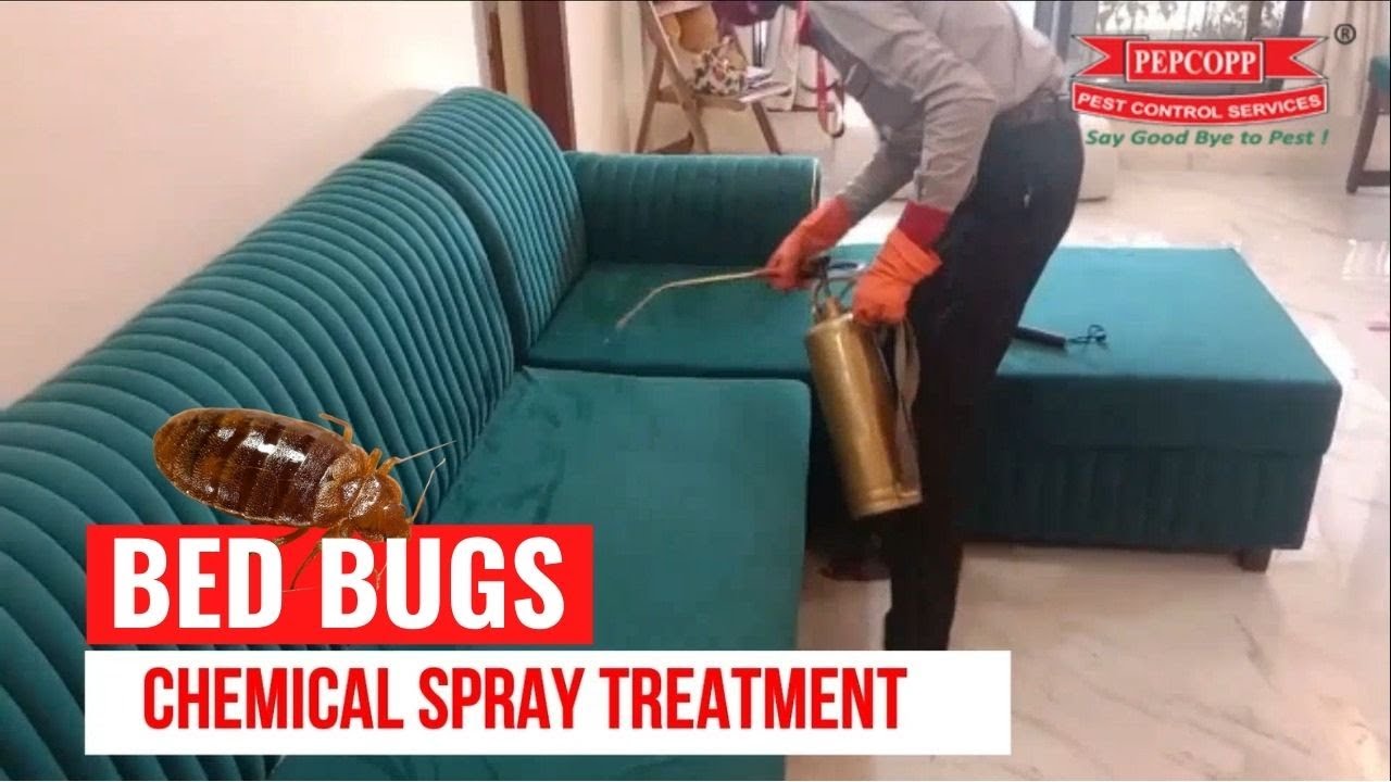 Bed Bugs Chemical Spray Treatment | Pepcopp Pest Control | Bed Bugs