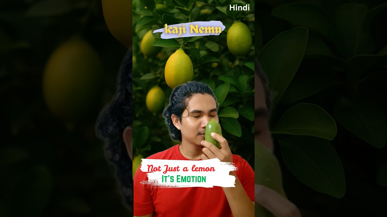 Kaji Nemu &ndash; It&rsquo;s Not Just a Lemon, It&rsquo;s Emotion | GI Tag Assam #proud #agriculture #ytshorts #shorts