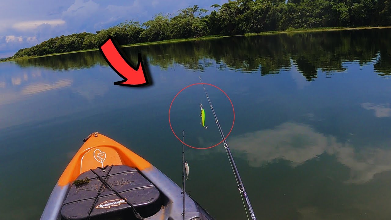 NESSA LAGOA SÓ TEM PEIXE GRANDE, JOGUEI E PEGUEI O AZULÃO!!! PESCARIA RIO PARANÁ!!!