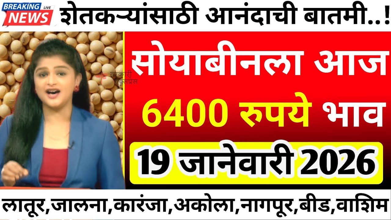 सोयाबीनला आज सर्वाधिक 6400 रु भाव| soyabean bajar bhav today|soyabean bhav today