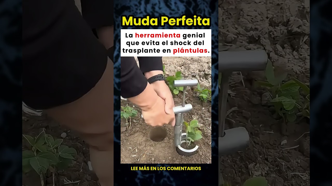 La herramienta genial que evita el shock del trasplante en pl&aacute;ntulas 🌱