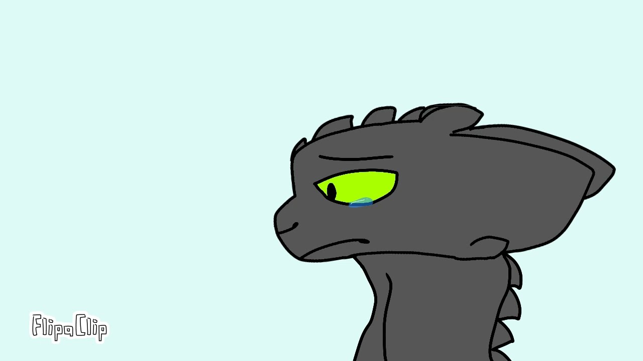 Toothless X Light Fury #2 (SSN.2)