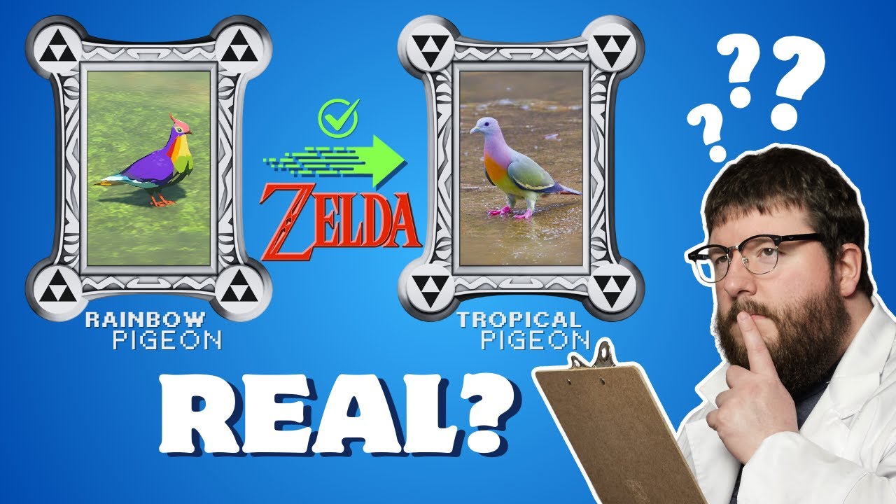 How Many Birds in Zelda are Actually Real? (It's more than you think!)
