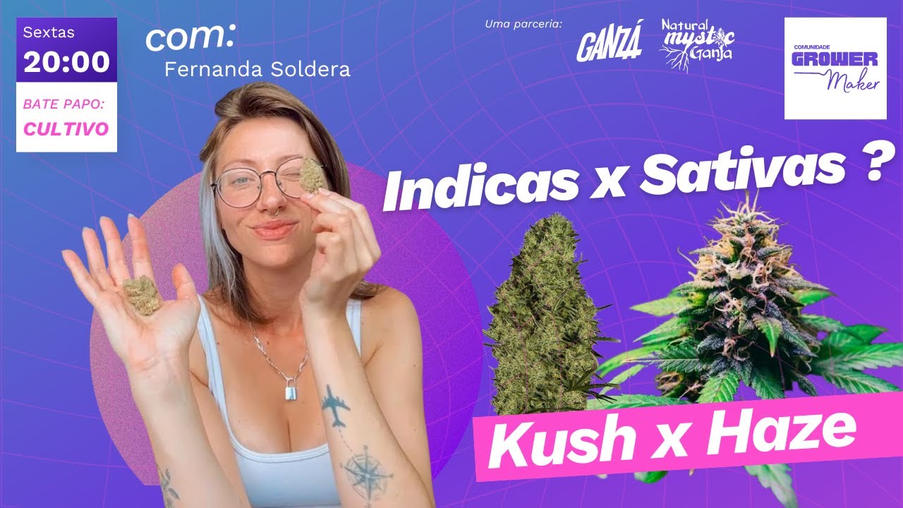As Gen&eacute;ticas Kush e Haze
