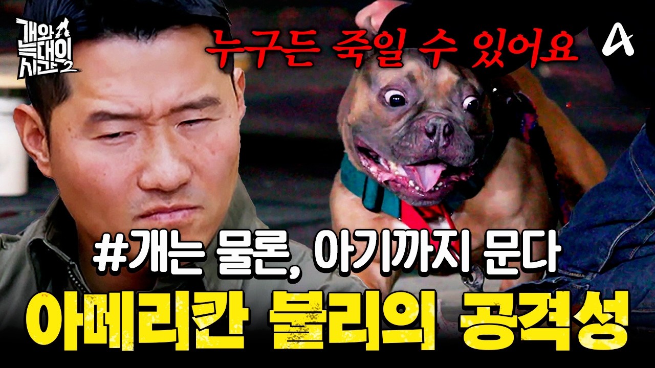 [#클립배송] 사람은 안 문다더니...? 강형욱 경악하게 만든 아메리칸 불리의 공격성💥 | #개와늑대의시간2 10회