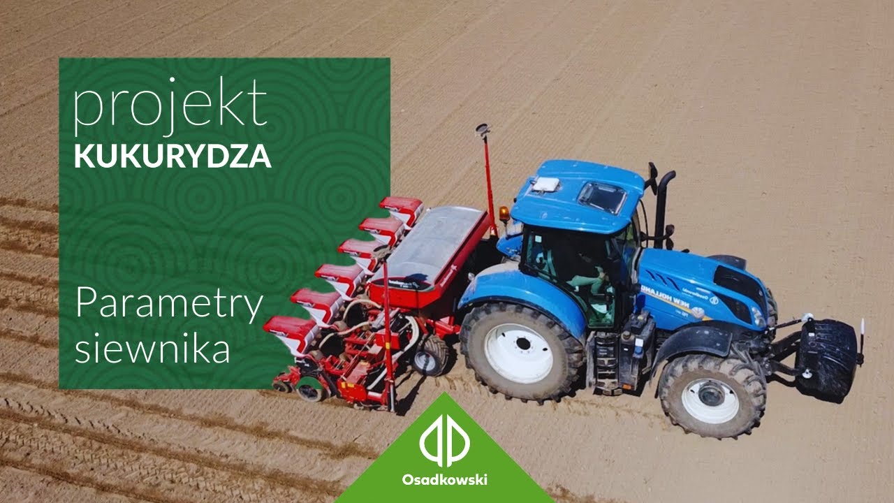 🌽 | Jak zyskać podczas siewu kukurydzy?