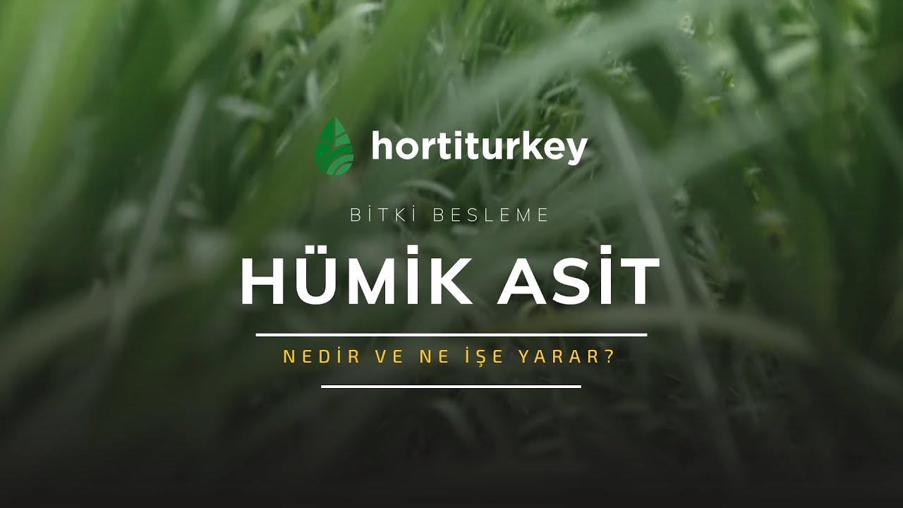Hümik Asit Nedir?