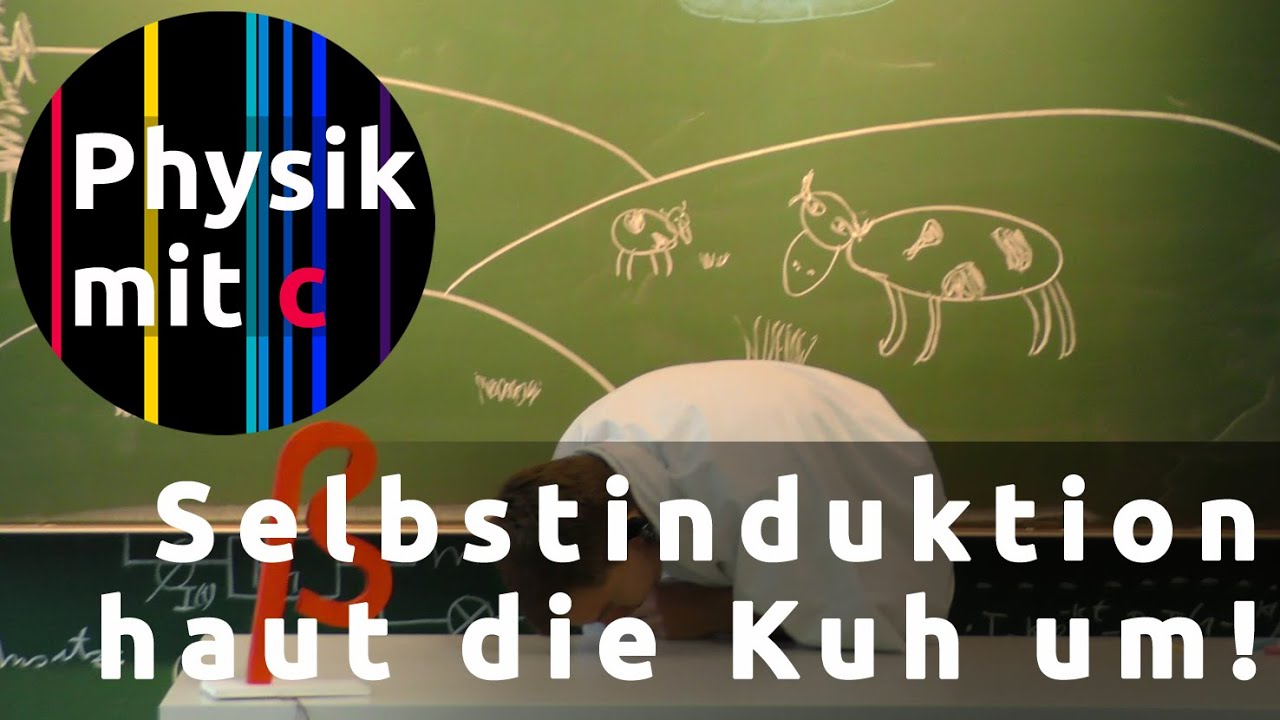 Selbstinduktion einer Spule Teil 3 - Auf der Kuhweide :-)