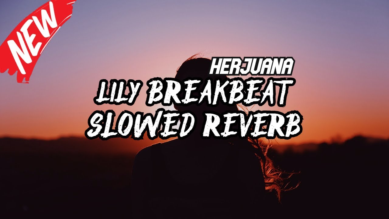 DJ LILY BREAKBEAT SLOWED REVERB TERBARU 2024