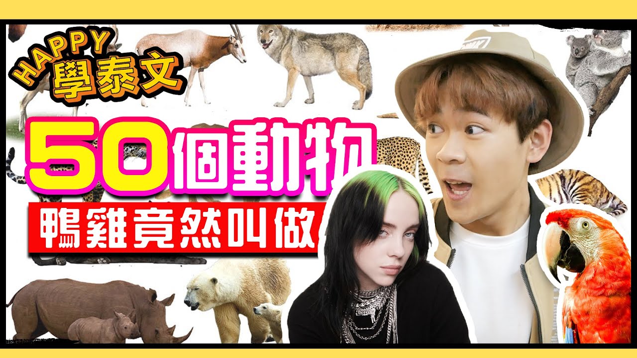 50個動物的泰文名！如何分辨