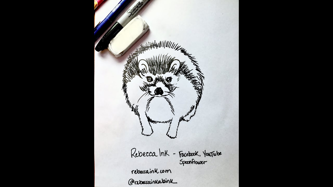 How To Draw A Hedgehog Easy