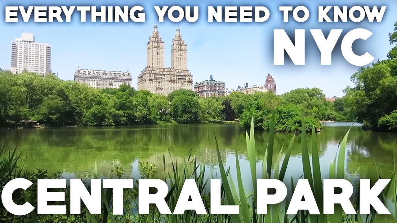 Central Park NYC Travel Guide: Everything you need to know