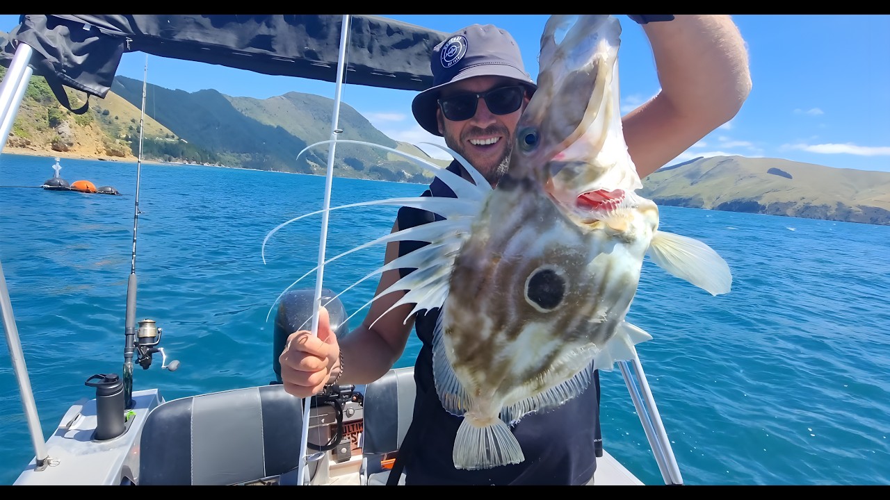 Finally Landed the Dory! Okiwi Bay Mission 25/26 !