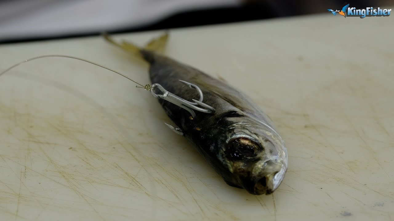Traces | Garrick (Treble Hook slide live bait)