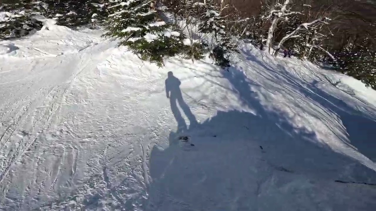 Sunny Days - Partridge to Slalom Hill - Mad River Glen (2026)