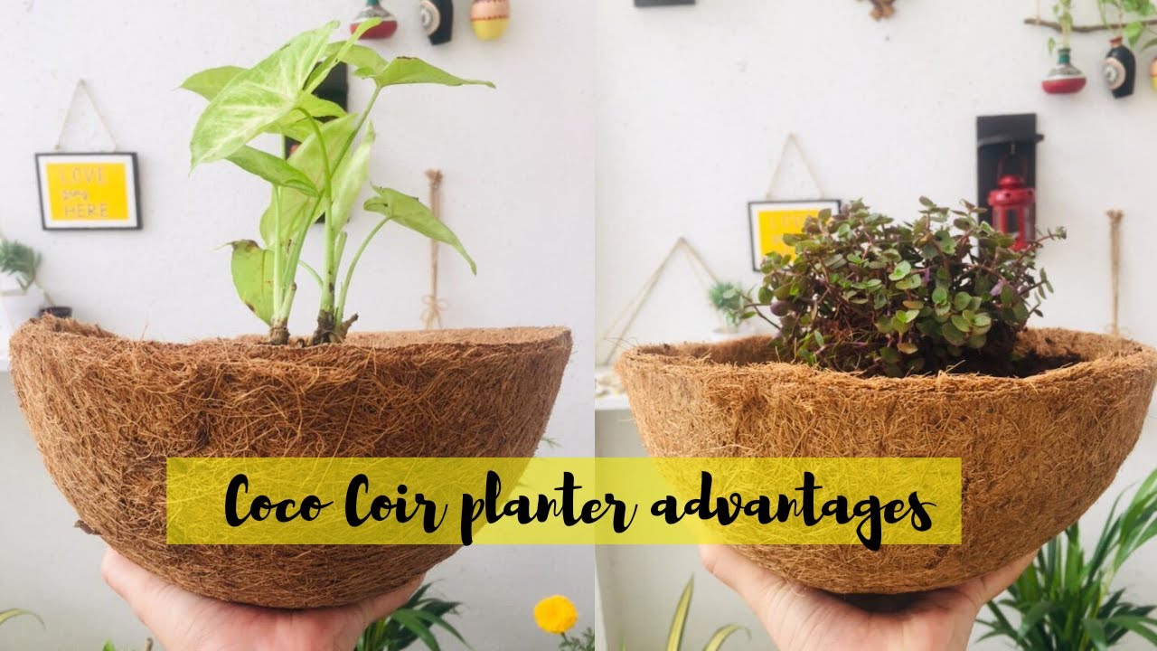 Coconut coir planters | Benefits of coco coir liners | balcony decor with coco coir hanging baskets