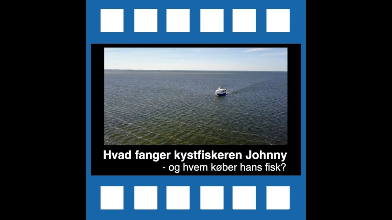 2A Portrætfilm: Hvad fanger Kystfiskeren Johnny og hvem køber hans fisk?