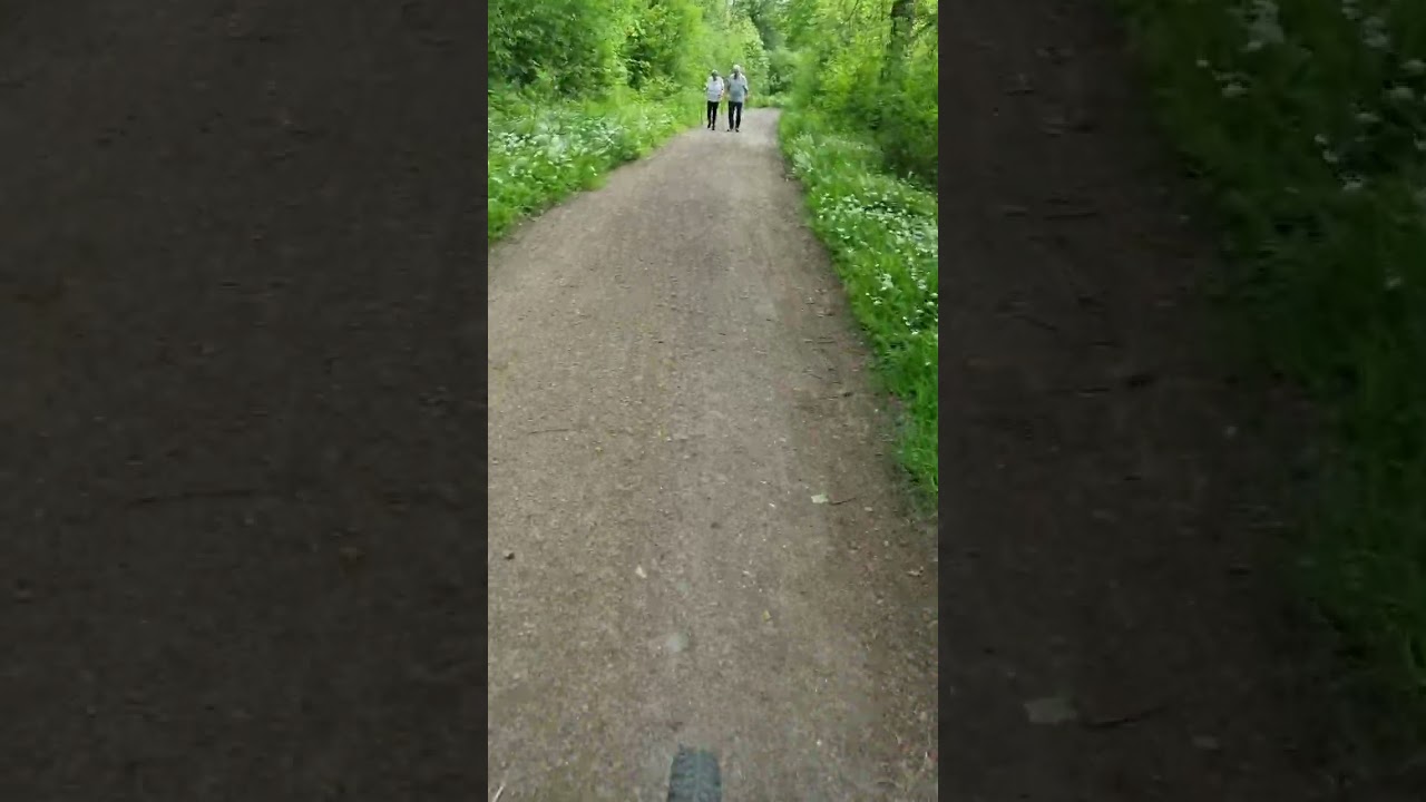 Großer Weikerlsee Biking
