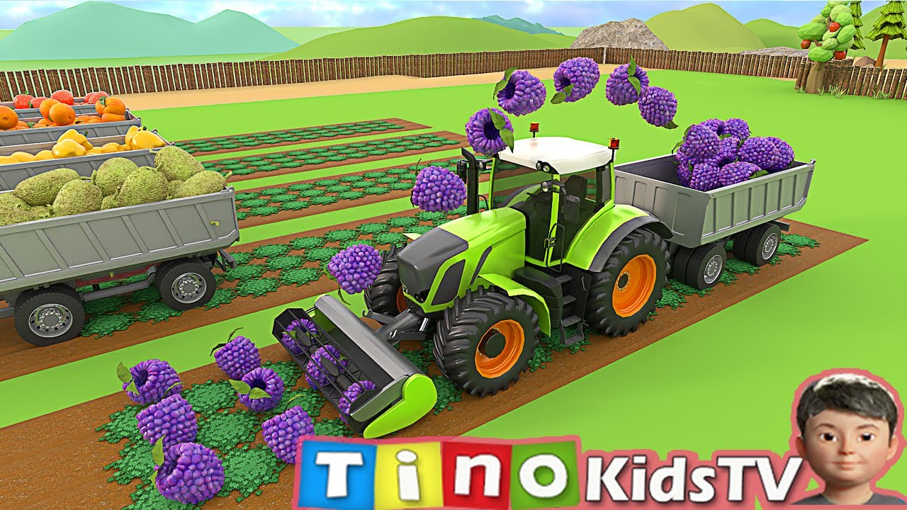 Tractor for Kids Harvesting Fruits and Vegetables   |  Farm Trucks Uses for Children
