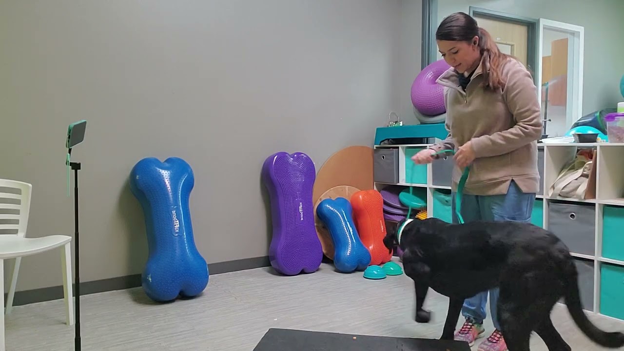 Greta conditioning