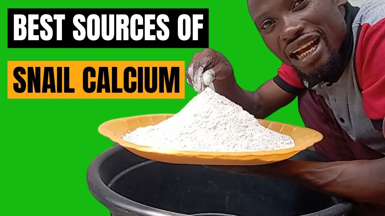 How to Make Snail Calcium with different Calcium Sources 