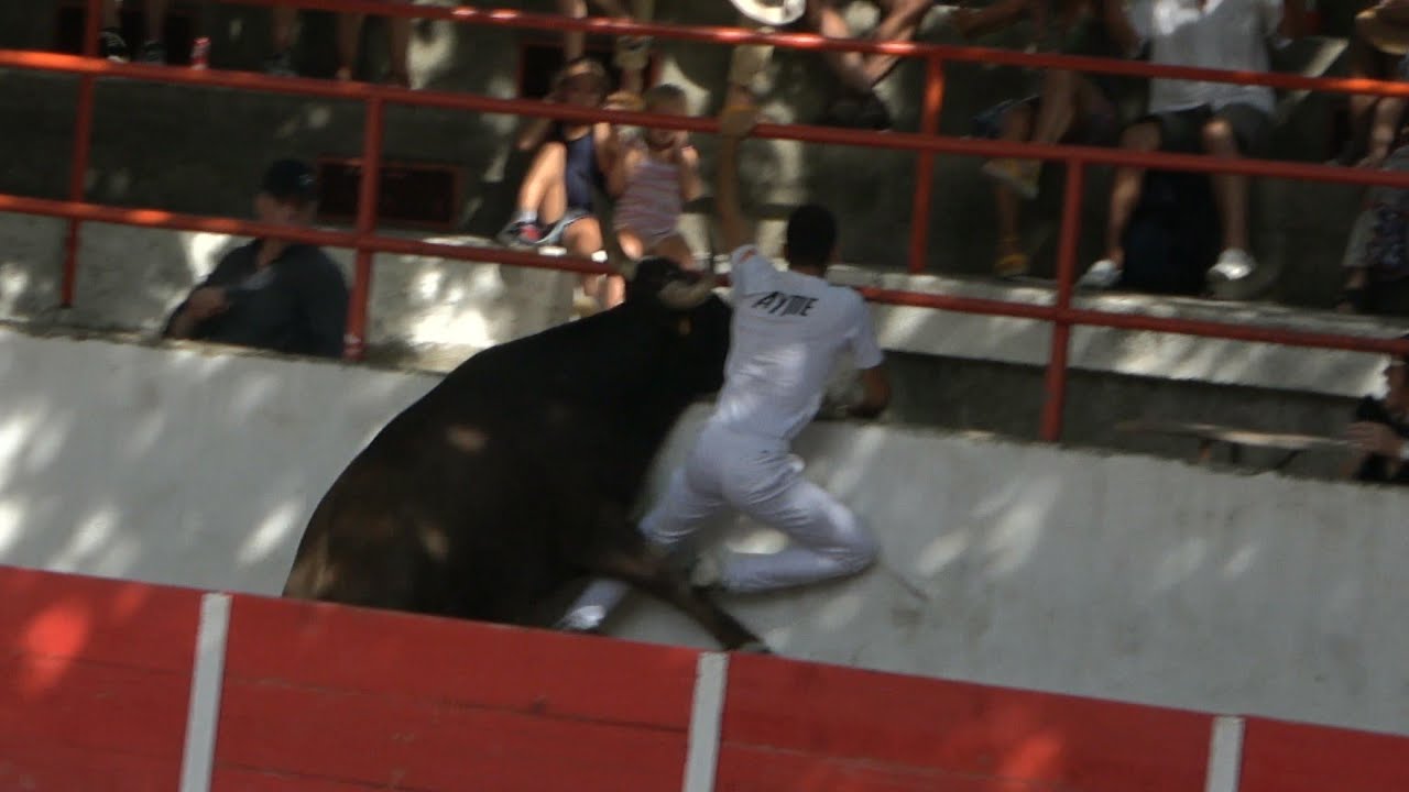 PALUDS DE NOVES COURSE DE LIGUE 16.08.22