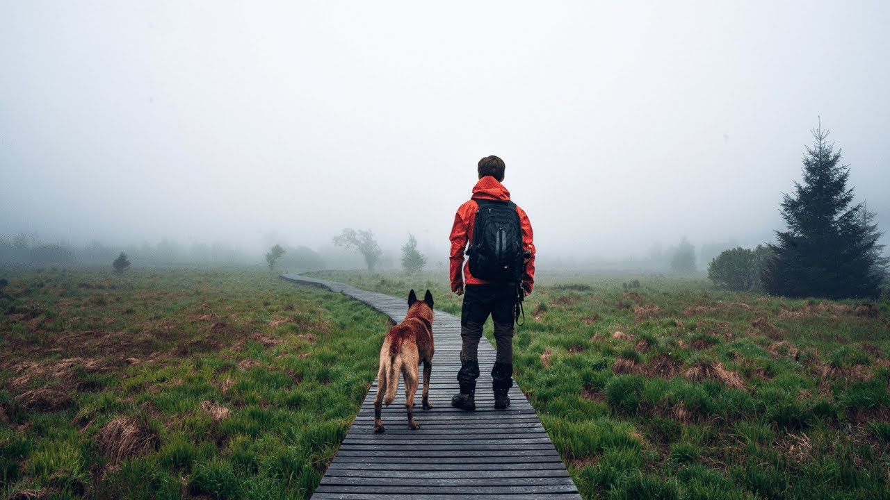 Solo Hiking in the High Fens with my dog