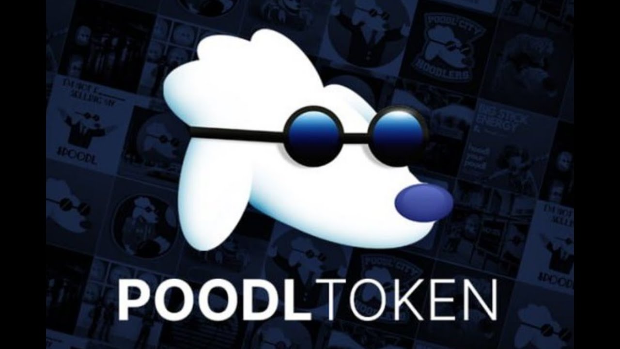 $POODL TOKEN - CAN IT 100X ?! LOW MARKET CAP GEM?! ULTIMATE DOG MEME COIN - LETS FIND OUT