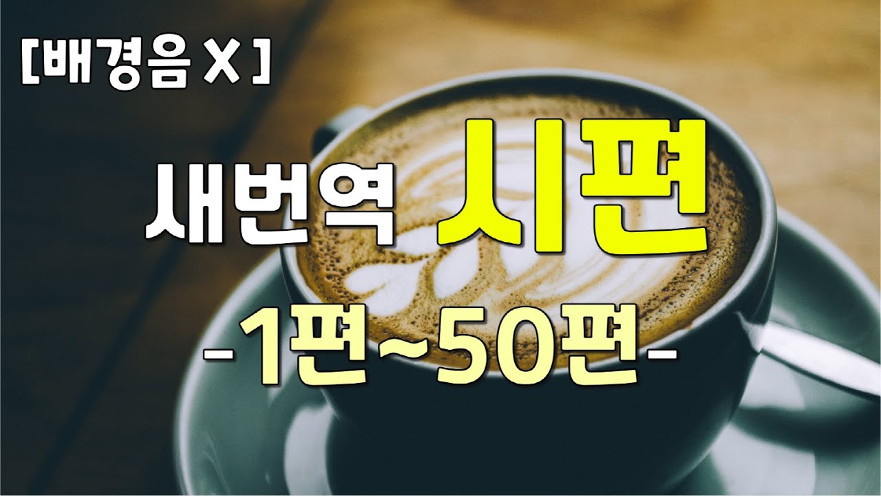 [새번역] 시편1~50편