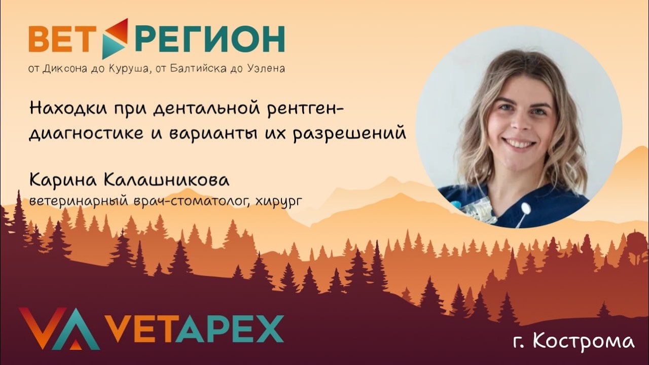ВетРегион. Карина Калашникова 