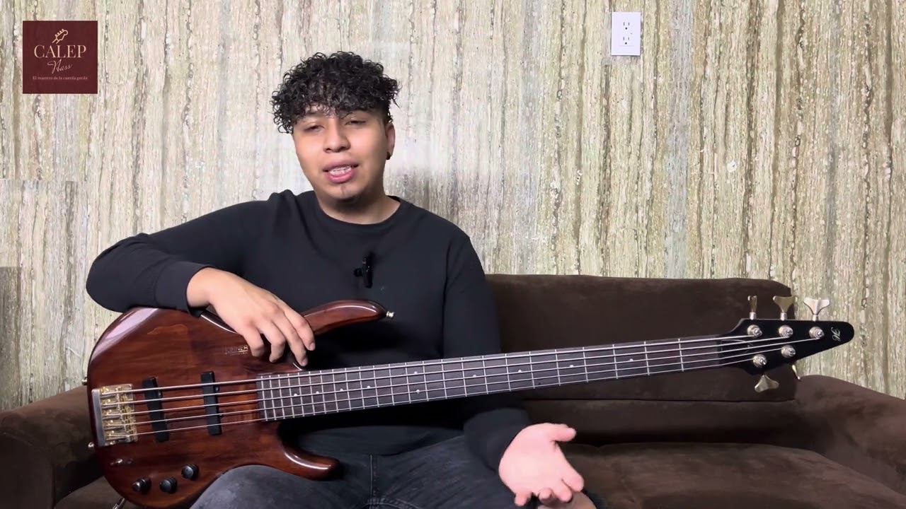 Bajo Hohner V (Explicacion - Funcionamiento//Calepvbass)