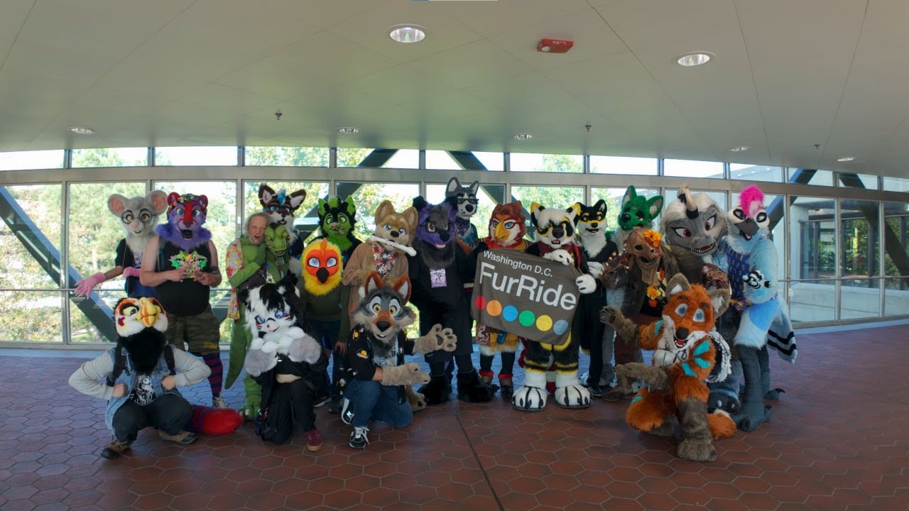 DC FurRide
