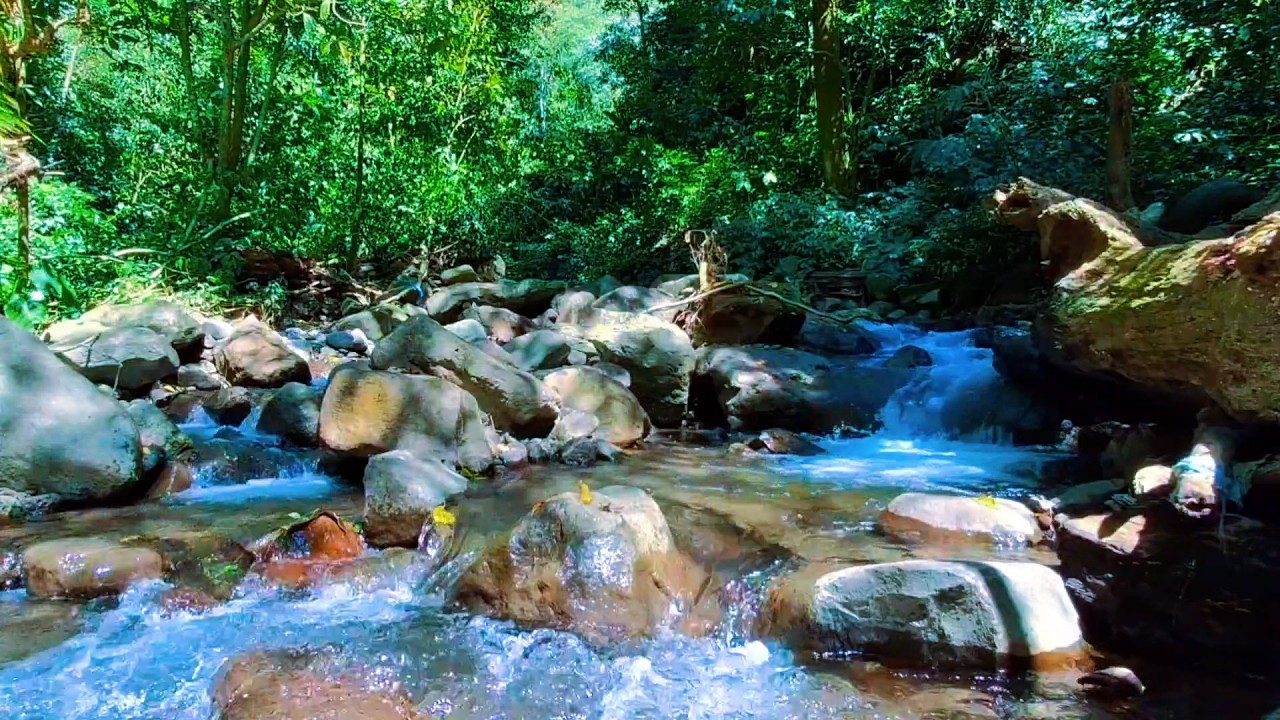 Calm River Ambience for Evening Calm