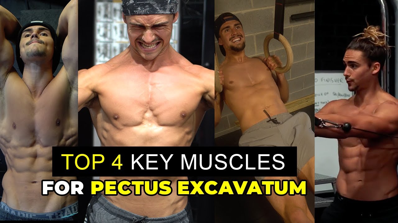 TOP 4 MUSCLES TO FOCUS ON TO IMPROVE PECTUS EXCAVATUM WITH EXERCISE